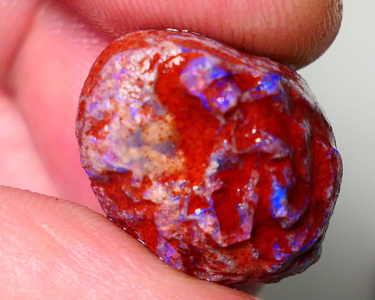 Lightning Ridge Rough Opal 18cts Dark Base Gamble Knobby formation Nice blue fires 20x15x12mm NS110