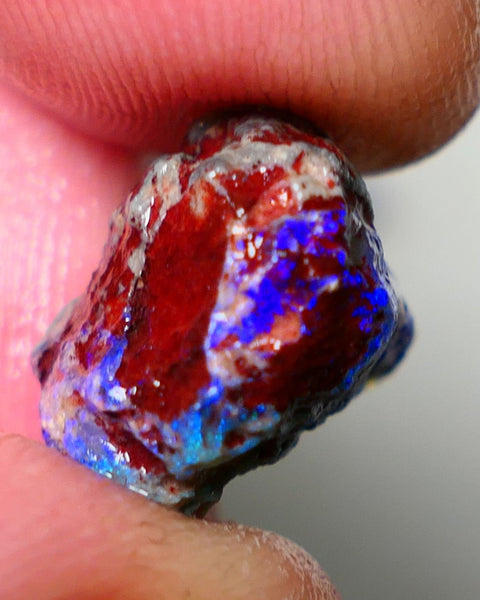 Lightning Ridge Rough Opal 7.75cts Dark Base Gamble Knobby formation Gorgeous blue fires 14x14x9mm Auction NS106