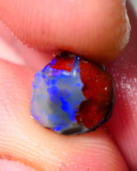 Lightning Ridge Rough / Rub opal Miners Bench® Dar Crystal 2.75cts Bright Blue Fires 9x9x6mm AUCTION NS105