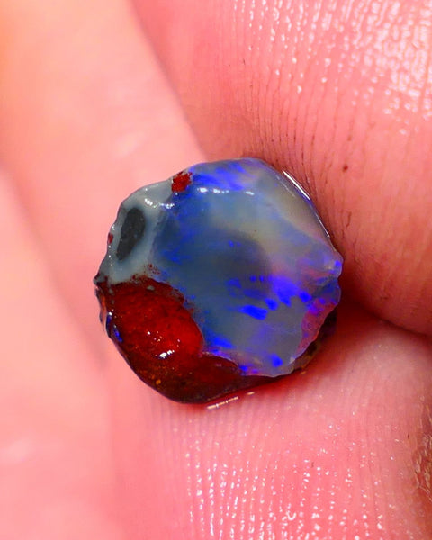 Lightning Ridge Rough / Rub opal Miners Bench® Dar Crystal 2.75cts Bright Blue Fires 9x9x6mm AUCTION NS105