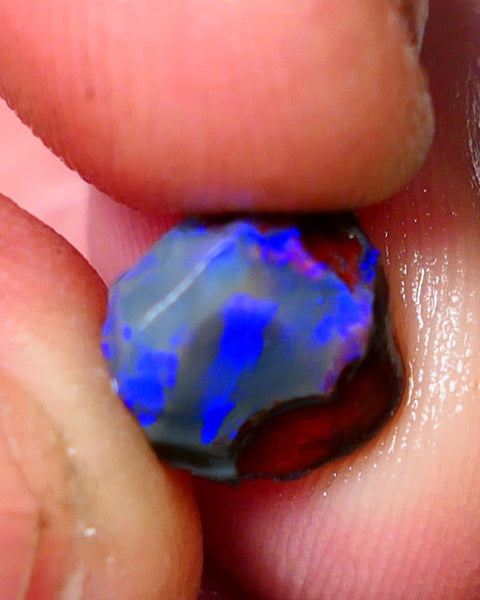 Lightning Ridge Rough / Rub opal Miners Bench® Dar Crystal 2.75cts Bright Blue Fires 9x9x6mm AUCTION NS105