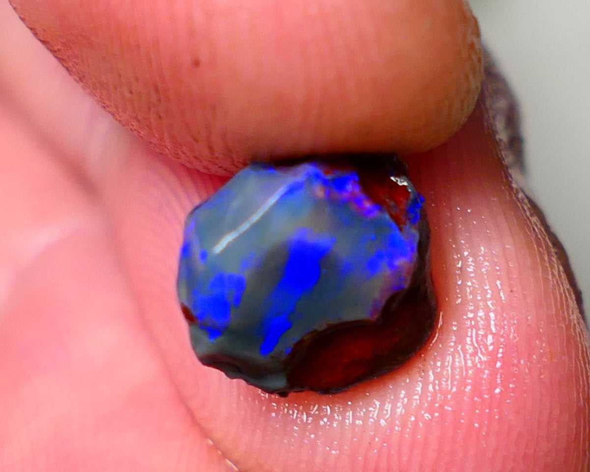 Lightning Ridge Rough / Rub opal Miners Bench® Dar Crystal 2.75cts Bright Blue Fires 9x9x6mm AUCTION NS105