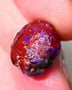 Lightning Ridge Rough Opal 11.50cts Dark Base Gamble Knobby formation Nice blue fires 15x13x10mm Auction NS104