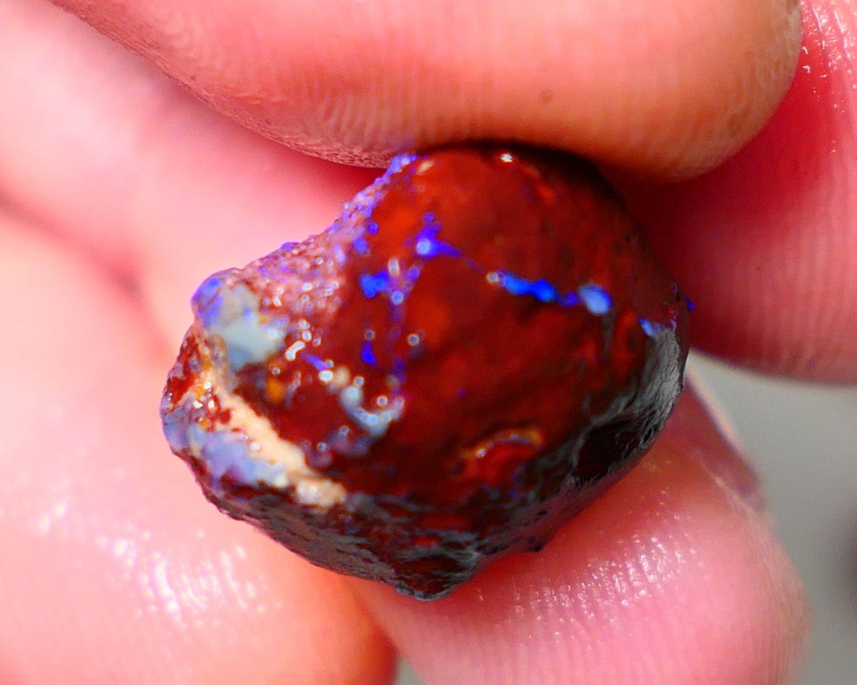 Lightning Ridge Rough Opal 11.50cts Dark Base Gamble Knobby formation Nice blue fires 15x13x10mm Auction NS104