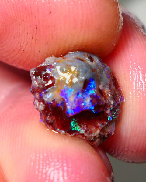 Lightning Ridge Rough Opal 3.50cts Dark Base Gamble Knobby formation Nice blue/Green fires 12x10x7mm Auction NS103