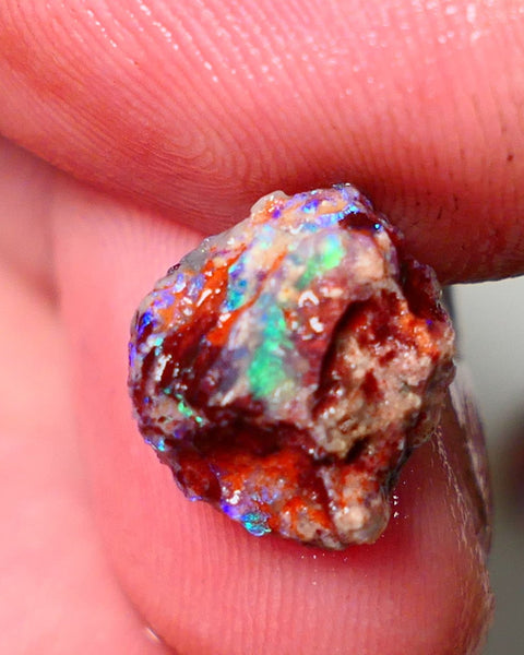 Lightning Ridge Rough Opal 3.50cts Dark Base Gamble Knobby formation Nice blue/Green fires 12x10x7mm Auction NS103