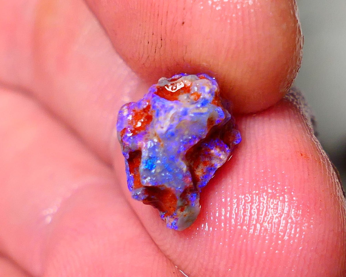 Lightning Ridge Rough Opal 3cts Dark Base Gamble Knobby formation Nice blue fires 11x9x8mm Auction NS101