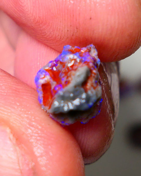 Lightning Ridge Rough Opal 3cts Dark Base Gamble Knobby formation Nice blue fires 11x9x8mm Auction NS101