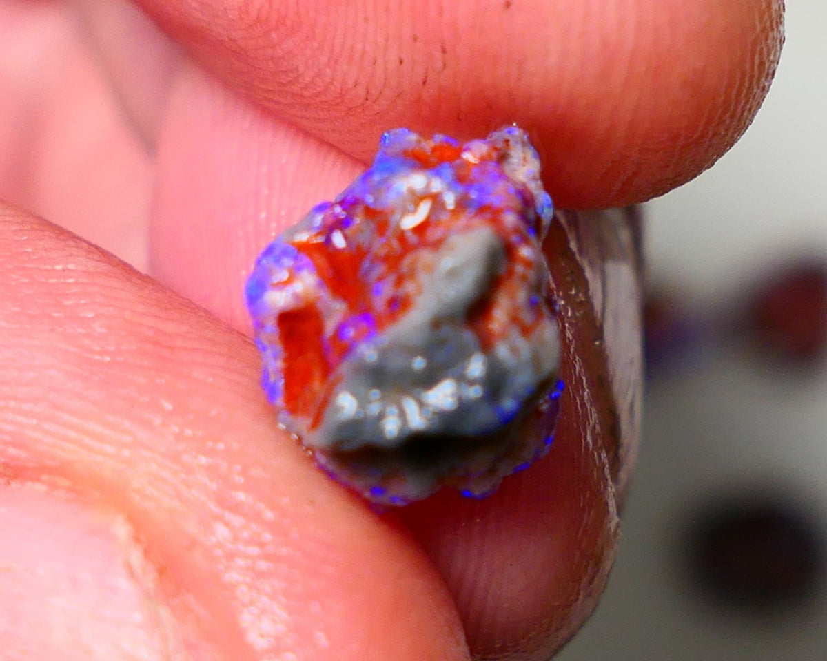 Lightning Ridge Rough Opal 3cts Dark Base Gamble Knobby formation Nice blue fires 11x9x8mm Auction NS101