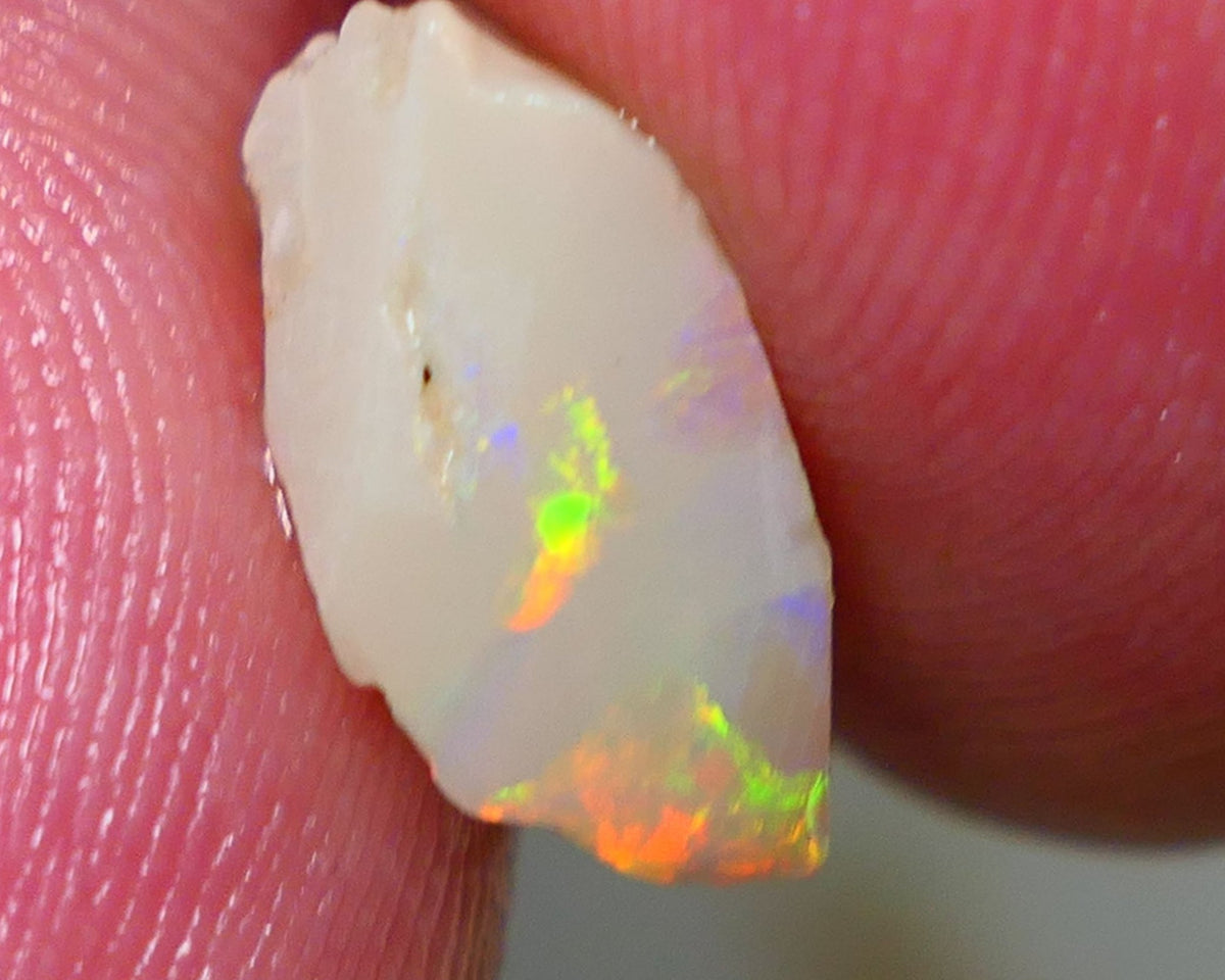 Lightning Ridge Rough / Rub Seam opal Miners Bench® 3.60cts Exotic Bright Yellow/Orange/Red M.Fires 14x7x6mm NS136