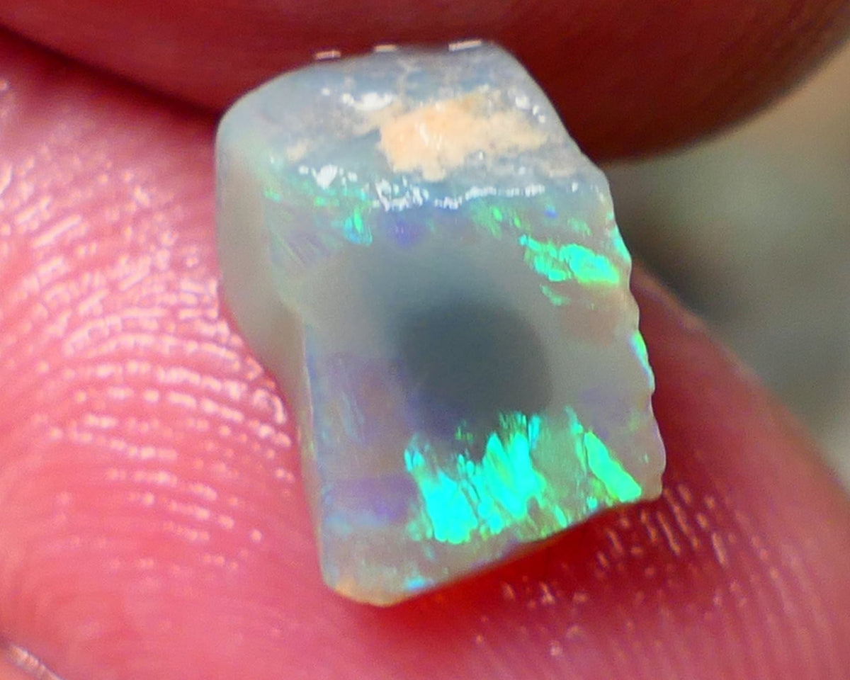 Lightning Ridge Rough / Rub Seam opal Miners Bench® 2.25cts Exotic Bright Yellow/Green/Blue Fires 11x9x4mm NS133