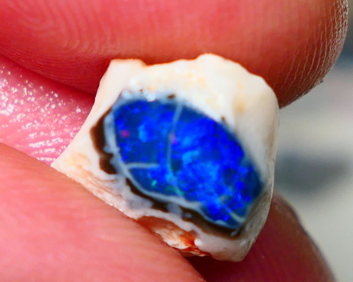 Lightning Ridge Rough / Rub opal Miners Bench® Black Crystal knobby 4.25cts Deep Bright Royal Blue Fires 12x11x5mm NS145