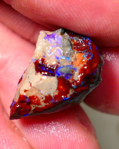 Lightning Ridge Rough Opal 17cts Dark Base Gamble Knobby formation Nice blue fires 22x15x14mm Auction NS152