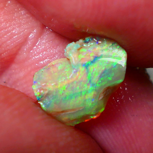 Opalised fossil Stunning Multi colour 1.30cts Rub rough Lightning Ridge 10x8x3mm NSW025