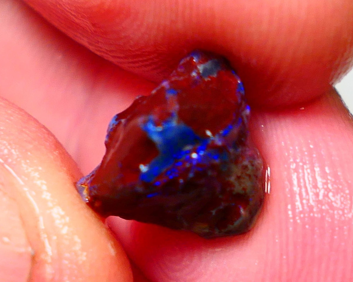 Lightning Ridge Rough Opal 4.50cts Dark Base Gamble Knobby formation Nice blue fires 12x10x9mm NS171