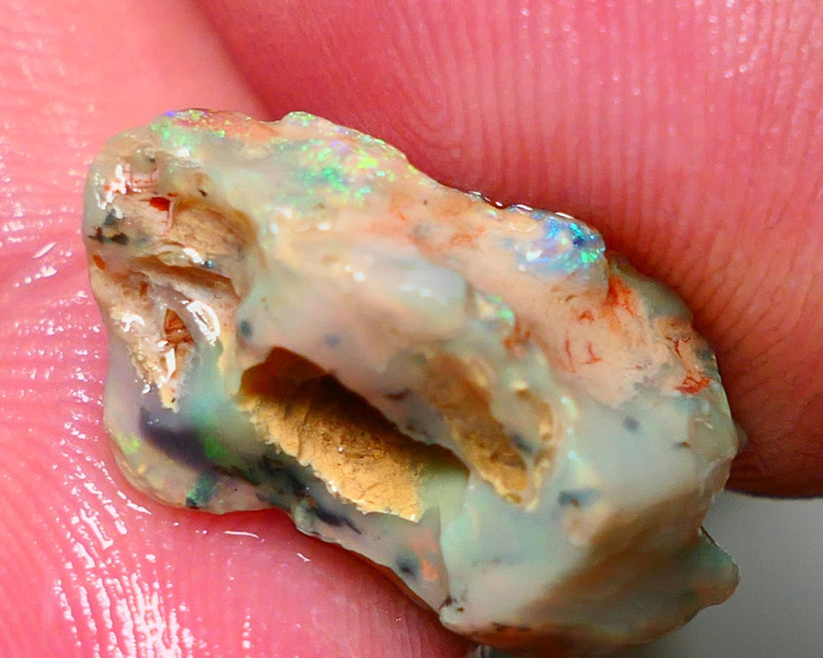 Lightning Ridge Rough Fossil opal 7.00cts Yellow orange dominant Fires 20x11x9mm NS147