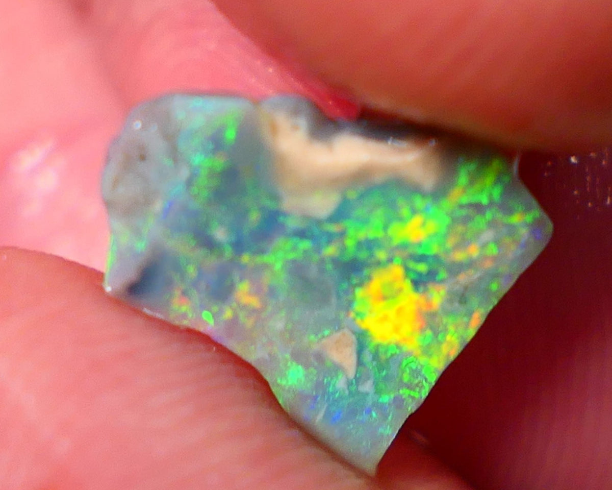 Lightning Ridge Opal Rough/Rub Dark Base From the Miners Bench® 1.55cts Bright & gorgeous Yellow/Orange/Green dominant m.fires 11x11x2mm NS154