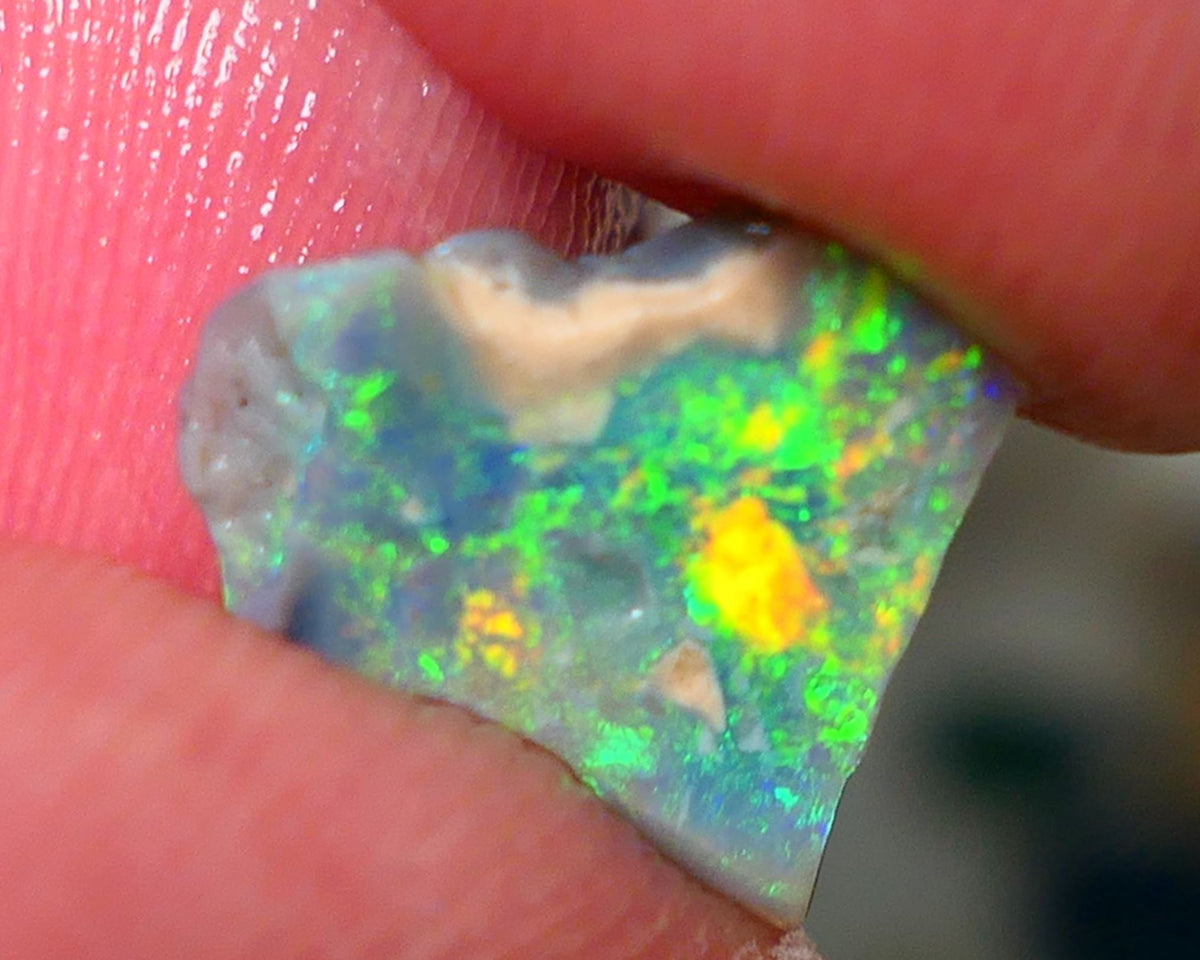 Lightning Ridge Opal Rough/Rub Dark Base From the Miners Bench® 1.55cts Bright & gorgeous Yellow/Orange/Green dominant m.fires 11x11x2mm NS154