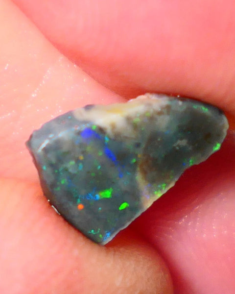 Lightning Ridge Rough / Rub Seam opal Miners Bench® 1.60cts Multicolour Flashes of Confetti  12x8x2mm AUCTION NS166