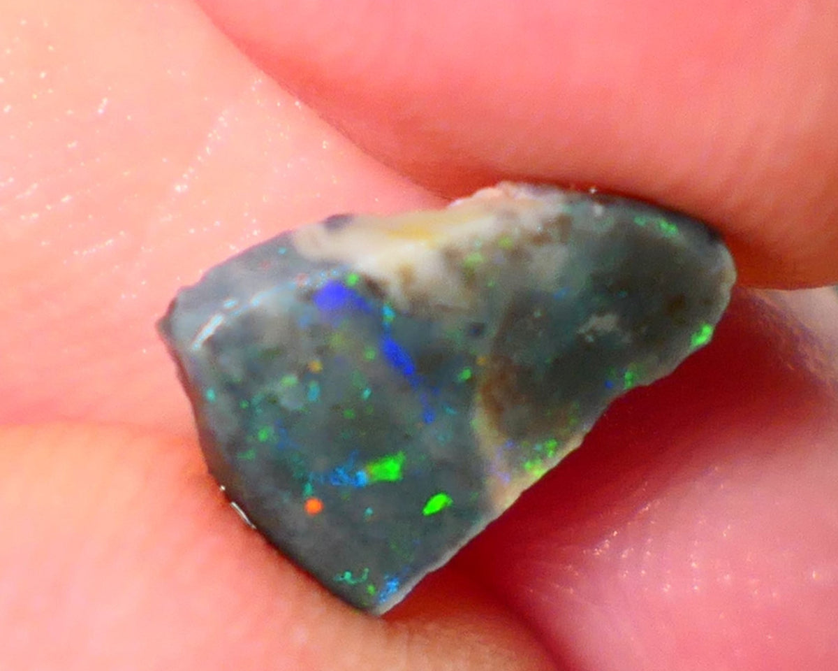 Lightning Ridge Rough / Rub Seam opal Miners Bench® 1.60cts Multicolour Flashes of Confetti  12x8x2mm AUCTION NS166