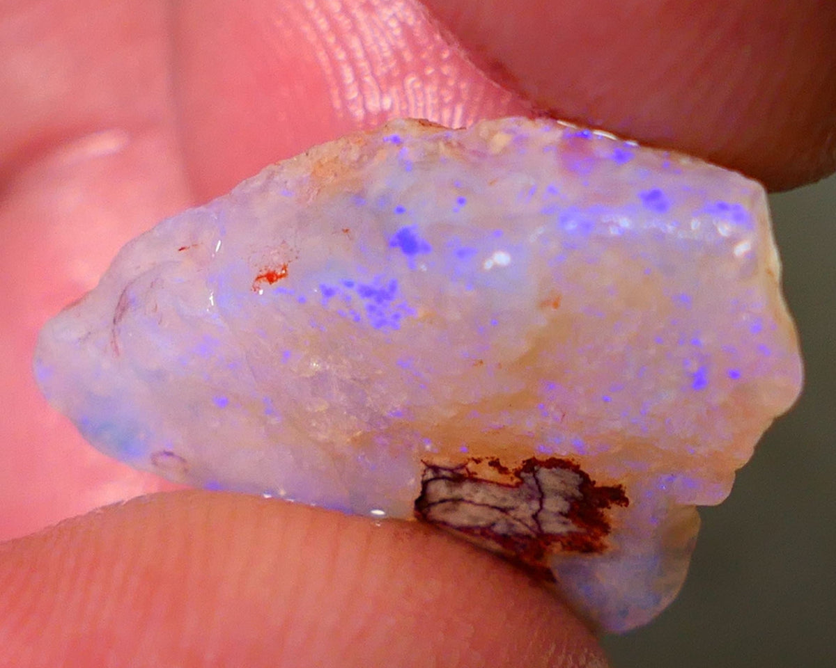 Coober Pedy Rough Opal 12.75cts Crystal/Light Seam showing nice Blue Colours in flat bars 23x18x6mm NS196