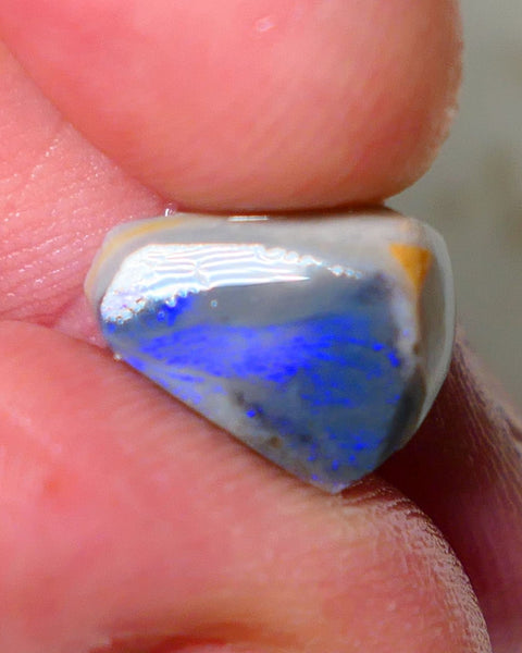 Lightning Ridge Rough Rub Directional Picture stone Opal 4.50cts Dark Base Seam Blue Fires exposed to face 13x10x5mm NS191