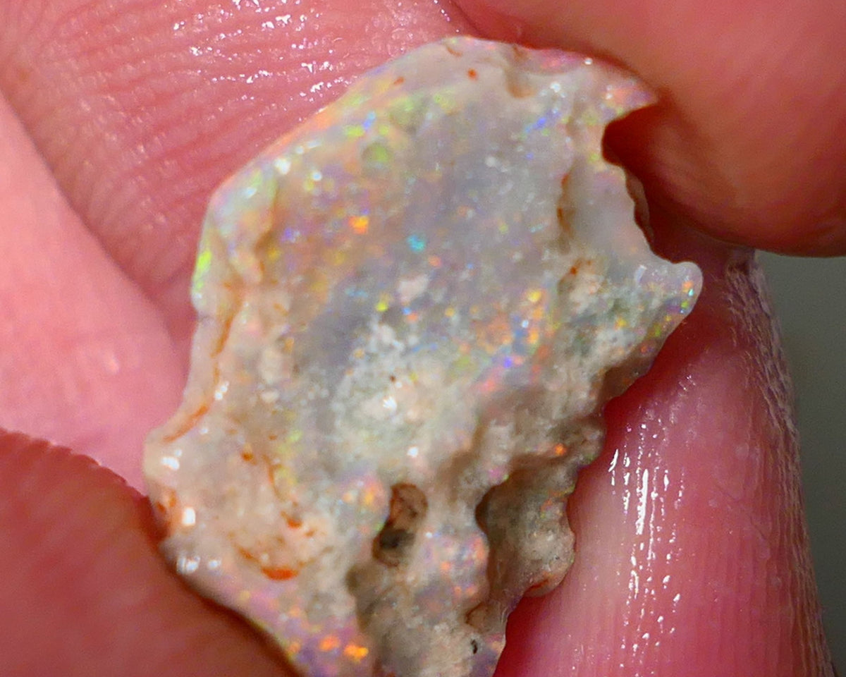 Mulga Rough Opal 4.75cts Dark Base Seam Nice Yellow/Orange Dominant M.fires to Cut / carve & polish 18x14x4mm NSW033