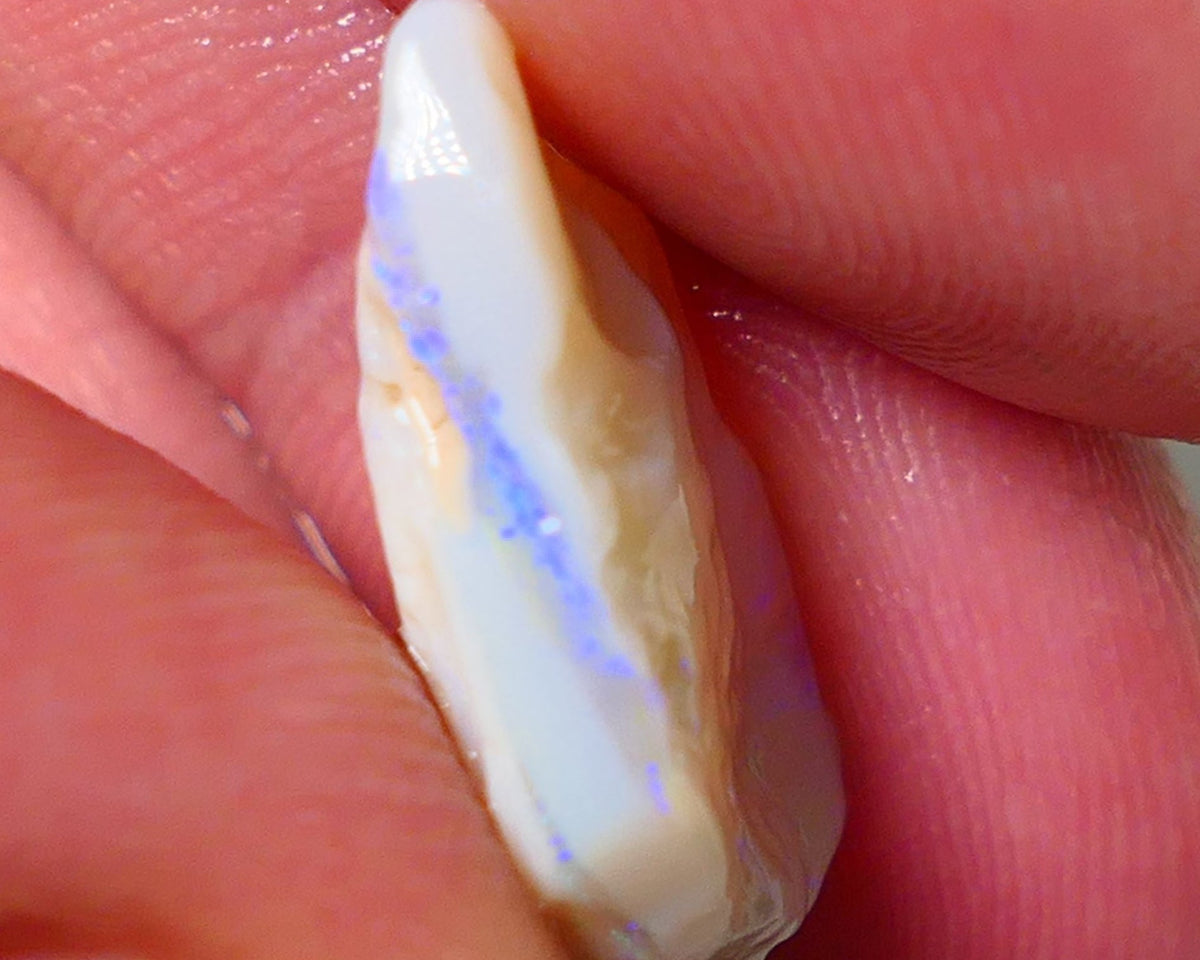 Lightning Ridge Rough Opal 8.00cts Light base Seam showing Nice blue colours 21x14x5mm NS179