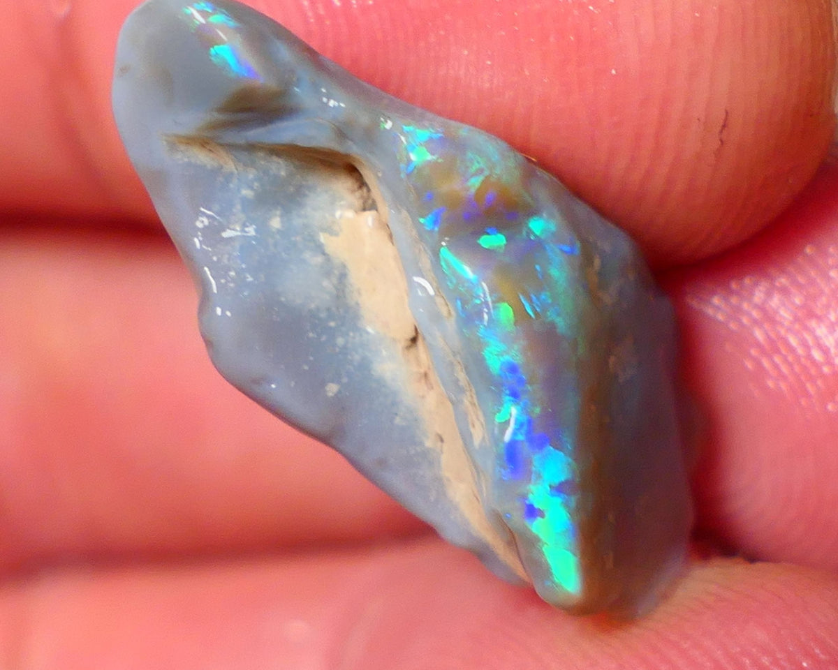 Opal Fever Mate Auction