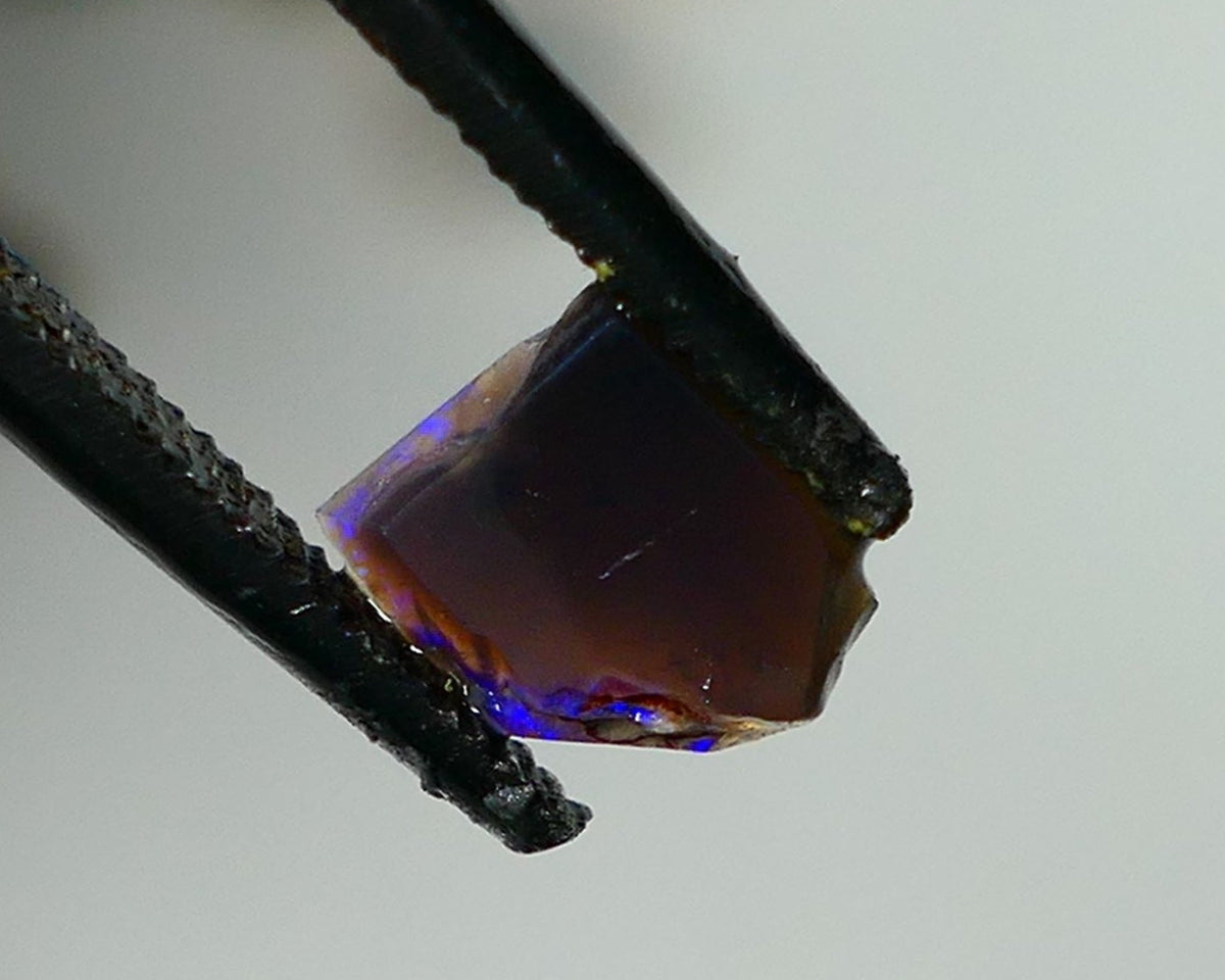 Mulga® Bright Royal Blue dominant fires on Black Opal Rough Rub Miners Bench® 0.50cts Gorgeous face 6x5x2mm NS216