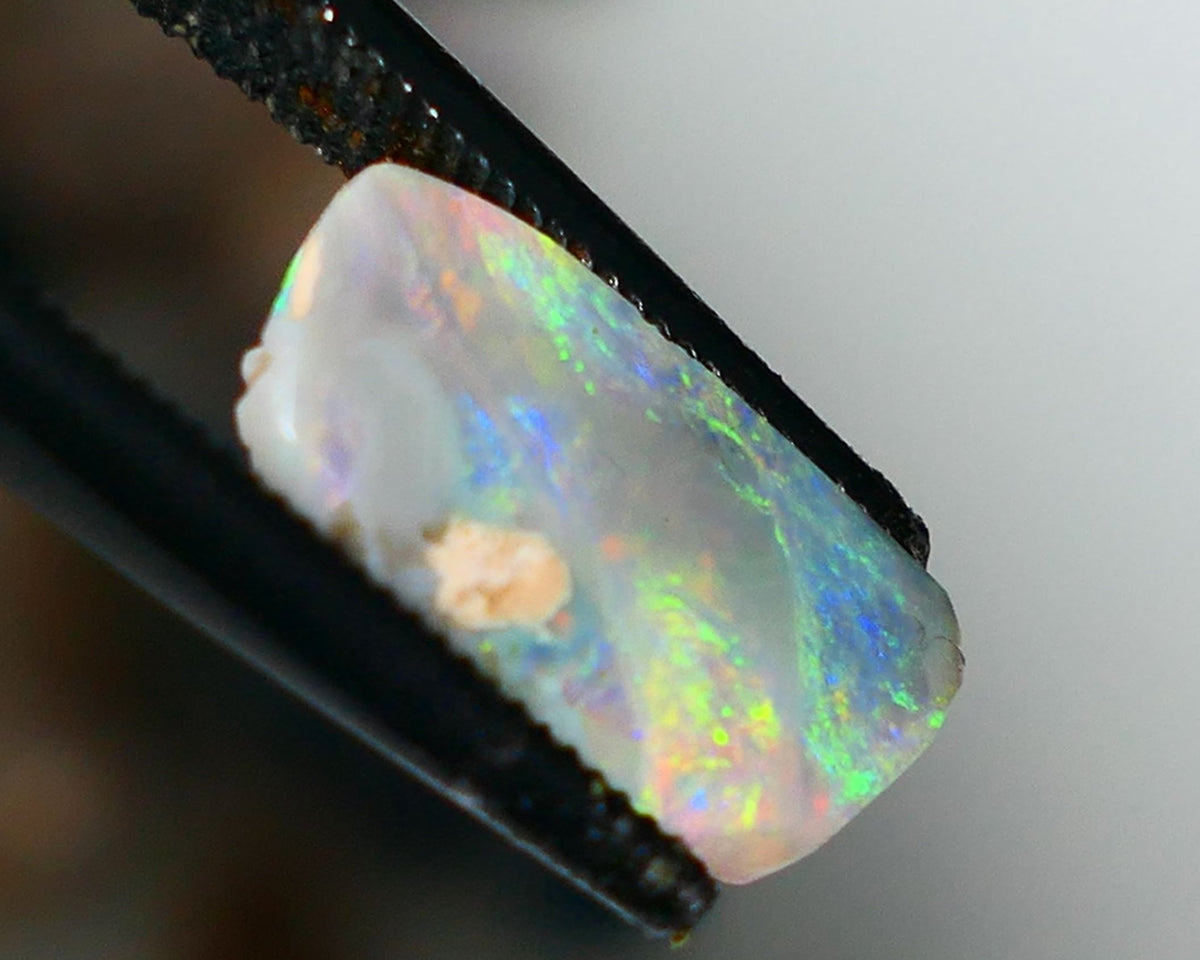 Lightning Ridge Opal Rough/Rub Dark Base From the Miners Bench® 1.75cts Bright & gorgeous Orange/Pink dominant M.fires 12x6x2.5mm NS207