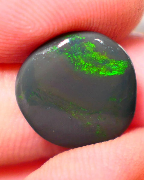 Lightning Ridge Rough / Rub Seam opal Miners Bench® 3.80cts Greens on Black 14x13x2.5mm NS203