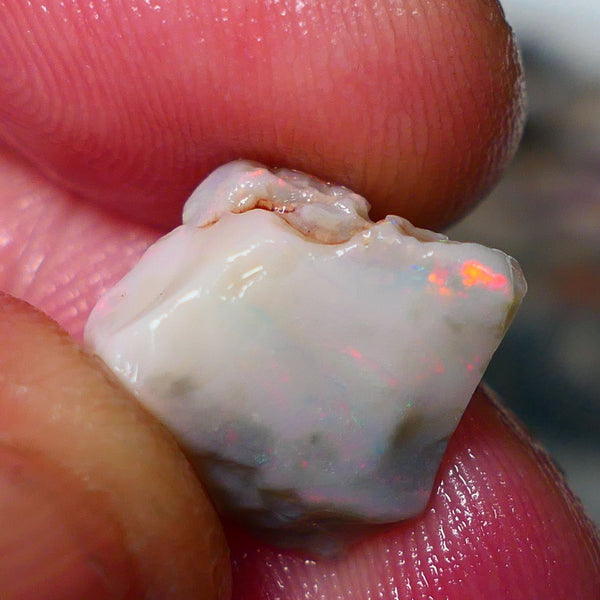 Lightning Ridge Rough Opal 6.00cts Seam Grey base Flashes of Orange/Blue/Green fires 13x12x11mm NS215