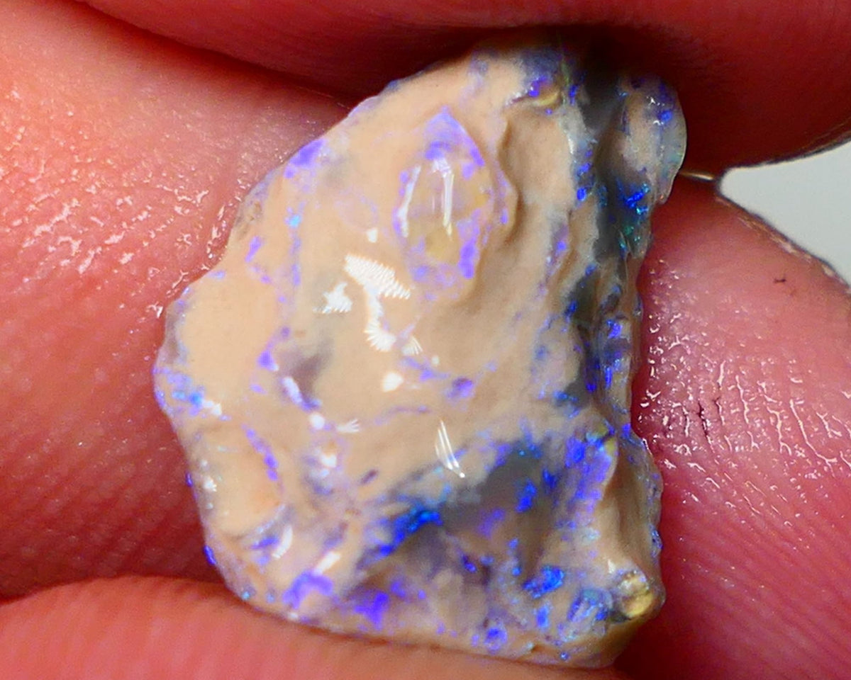 Lightning Ridge Rough Opal 5.50cts Crystal Base Gamble Knobby formation Bright blue fires some yellow flashes 16x13x6mm NS211