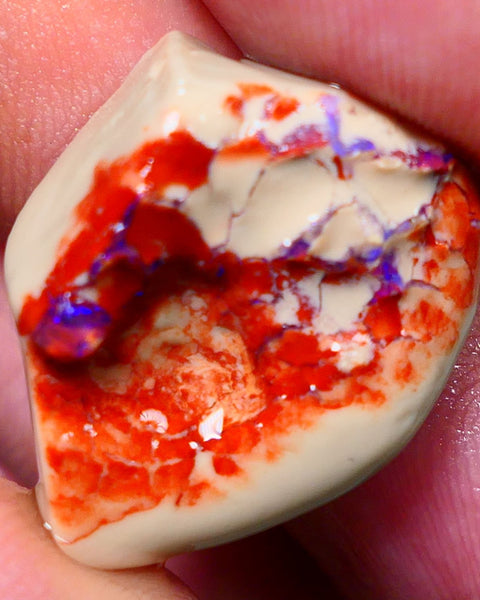 Lightning Ridge Rough Opal 17.00cts Crystal Base Gamble Knobby formation Gorgeous Bright blue fires 24x20x8mm RL005