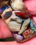 Lightning Ridge Knobby material 42.00cts lots of colours 15x8x7mm to 10x8x3mm RL006