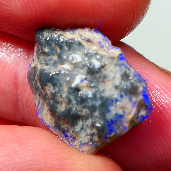 Lightning Ridge Rough Untouched Black/Dark Knobby opal Gorgeous blues showing around the edges sold as gamble