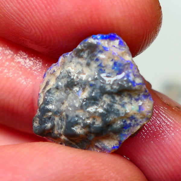 Lightning Ridge Rough Untouched Black/Dark Knobby opal Gorgeous blues showing around the edges sold as gamble