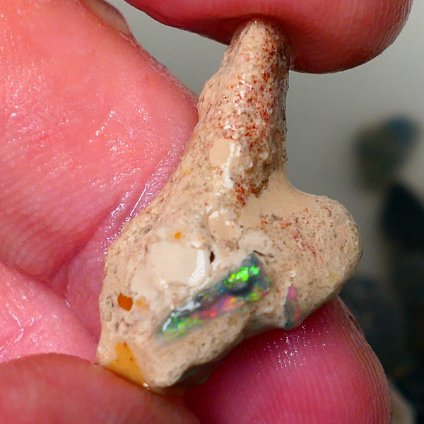 Mulga Rough Opal Seam formation Collectors Gorgeous Yellow dominant Multifires showing on opal deposit