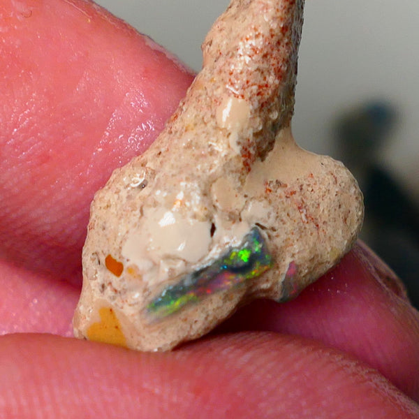 Mulga Rough Opal Seam formation Collectors Gorgeous Yellow dominant Multifires showing on opal deposit