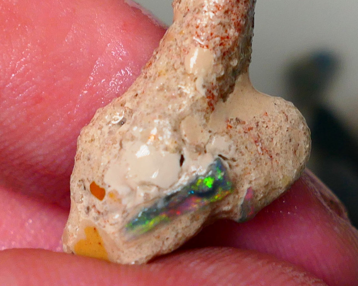 Mulga Rough Opal Seam formation 12.00cts Collectors Gorgeous Yellow dominant Multifires showing on opal deposit 28x15x7mm RL011