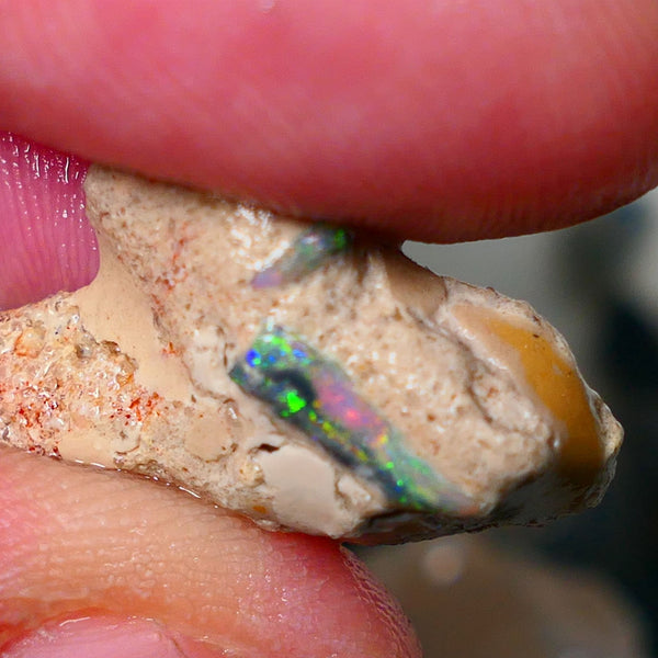 Mulga Rough Opal Seam formation Collectors Gorgeous Yellow dominant Multifires showing on opal deposit