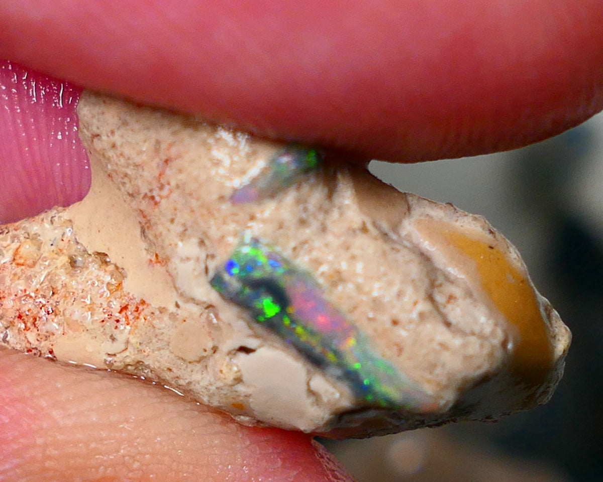 Mulga Rough Opal Seam formation 12.00cts Collectors Gorgeous Yellow dominant Multifires showing on opal deposit 28x15x7mm RL011