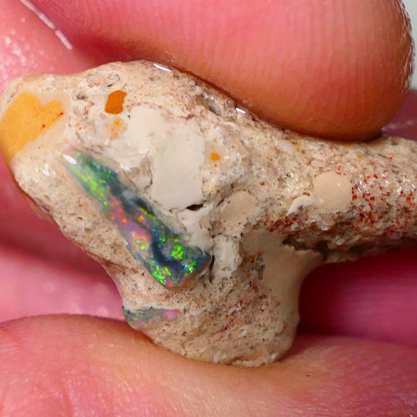 Mulga Rough Opal Seam formation Collectors Gorgeous Yellow dominant Multifires showing on opal deposit