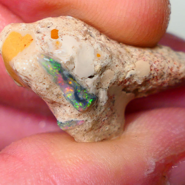 Mulga Rough Opal Seam formation Collectors Gorgeous Yellow dominant Multifires showing on opal deposit