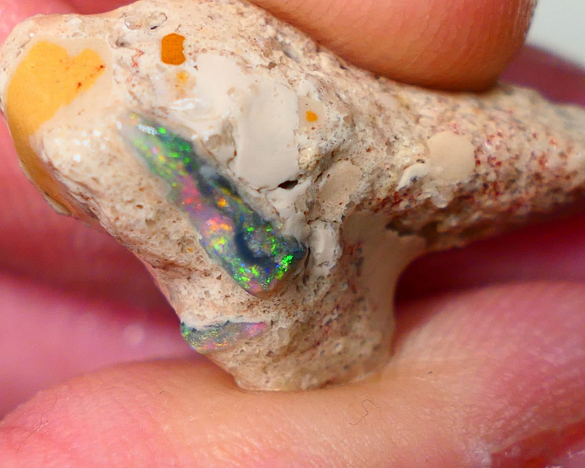 Mulga Rough Opal Seam formation 12.00cts Collectors Gorgeous Yellow dominant Multifires showing on opal deposit 28x15x7mm RL011