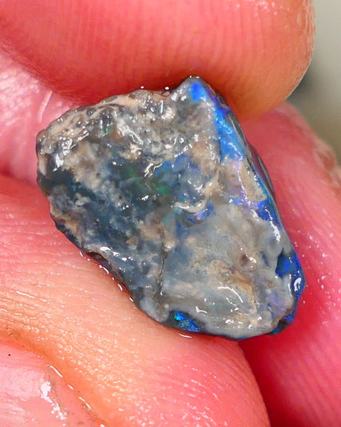 Lightning Ridge Rough Opal 3.75cts Dark Base Knobby Gorgeous Blue Bar to gamble 15x9x5mm RL007