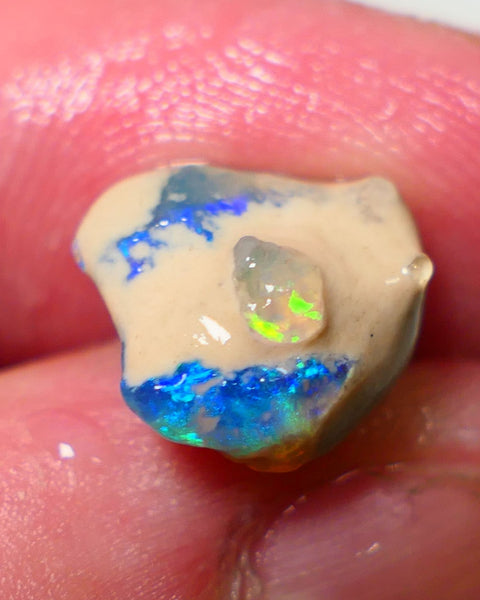 Lightning Ridge Rough / Rub knobby opal Miners Bench® 4.25cts Stunning Bright Fires to exposed face 13x11x7mm NS301