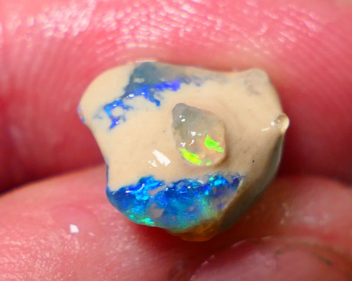 Lightning Ridge Rough / Rub knobby opal Miners Bench® 4.25cts Stunning Bright Fires to exposed face 13x11x7mm NS301