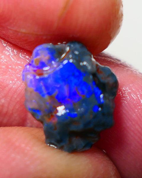 Lightning Ridge Rough Opal 3.50cts Black Crystal Base Knobby formation Gorgeous Royal Blues 14x9x6mm NS308